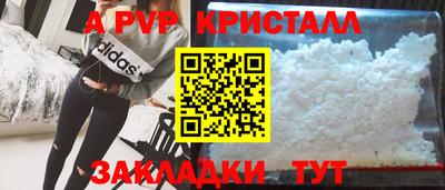 шишки Камышлов