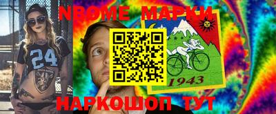 шишки Камышлов