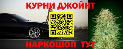 шишки Камышлов