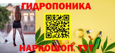 молекула духа Кандалакша