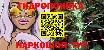 jwh Канаш