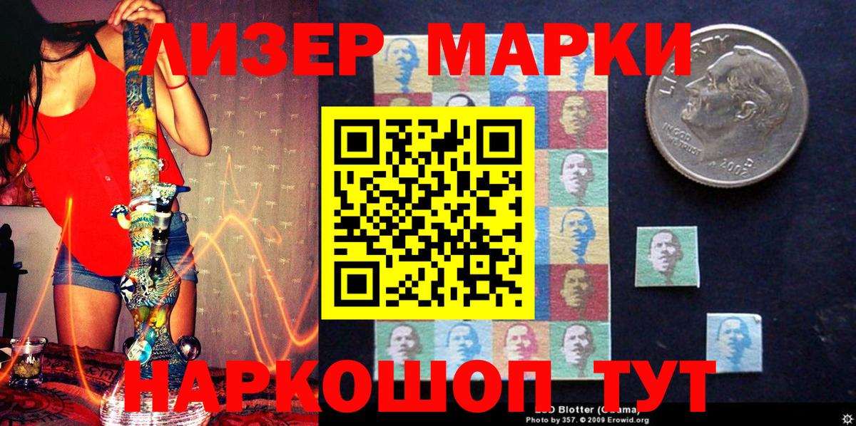 Псилоцибиновые грибы Качканар