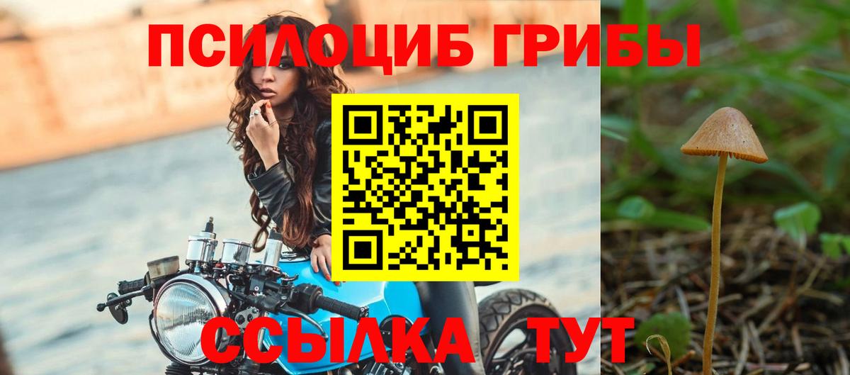 Качканар  Галлюциногенные грибы мухоморы  Галлюциногенные грибы GOLDEN TEACHER  Вход с VPN 